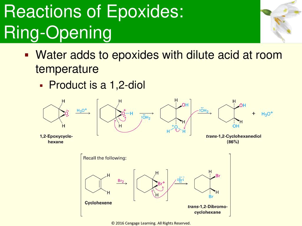 Reactions occurred during curing of an epoxide with a primary amine. |  Download Scientific Diagram