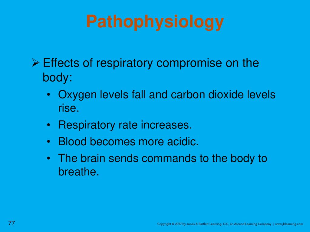 A & P Anatomy & Physiology - ppt download