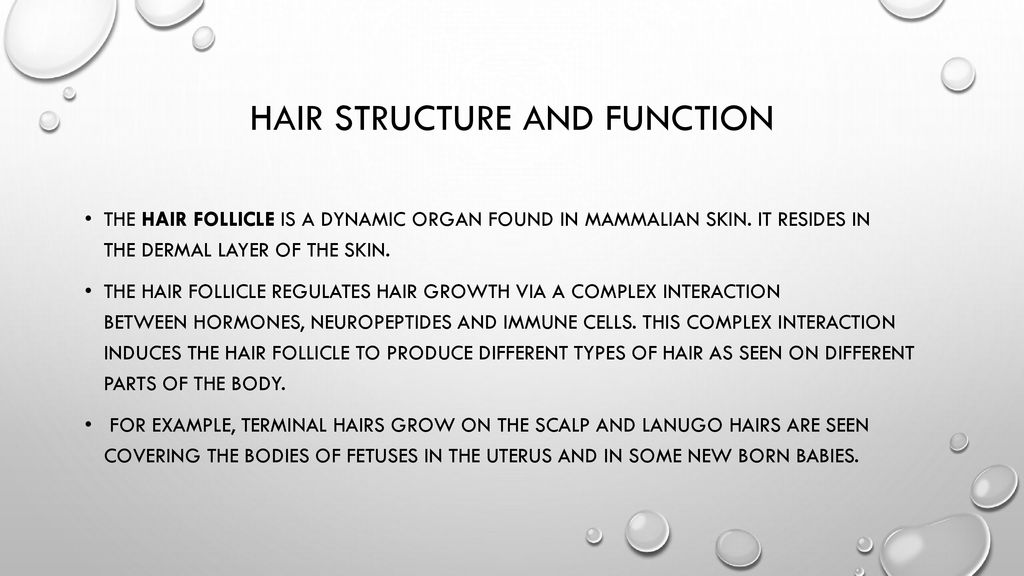 Scalp and hair conditions - ppt download