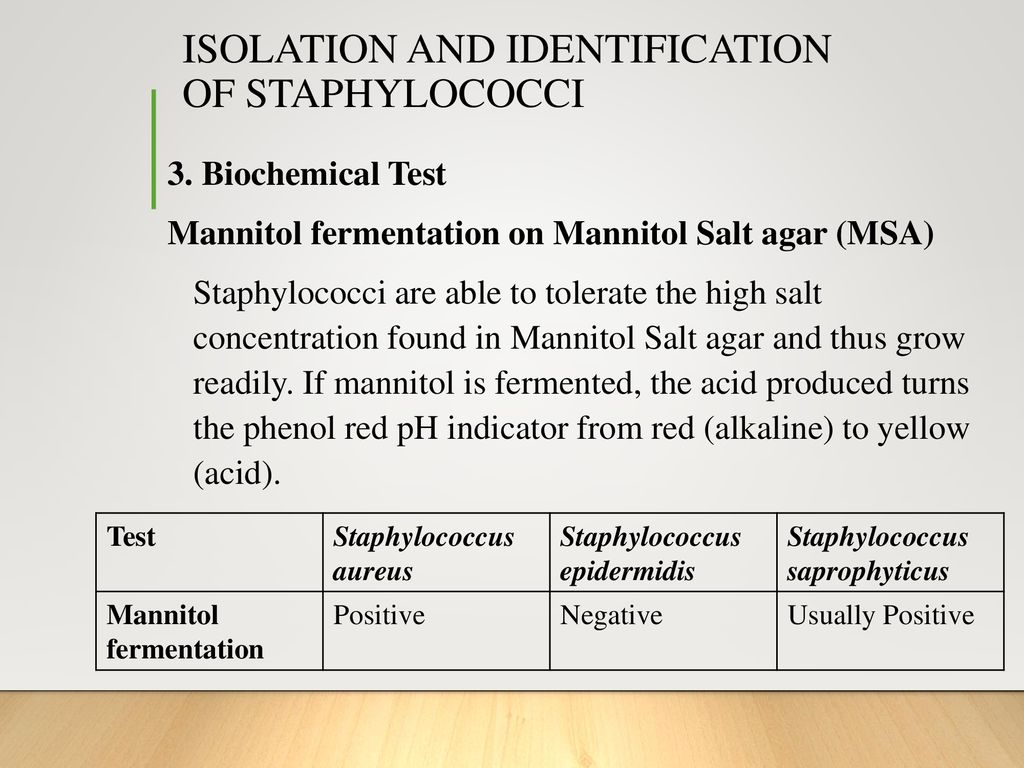 Biochemical Test and Identification of Staphylococcus aureus