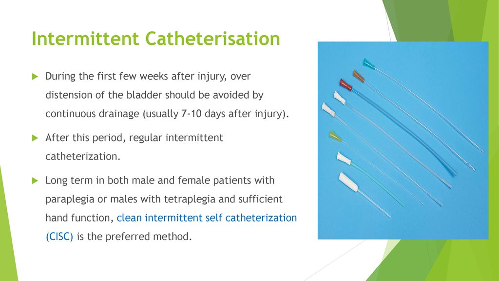 Neurogenic Bladder Management After Spinal Cord Injury - ppt download