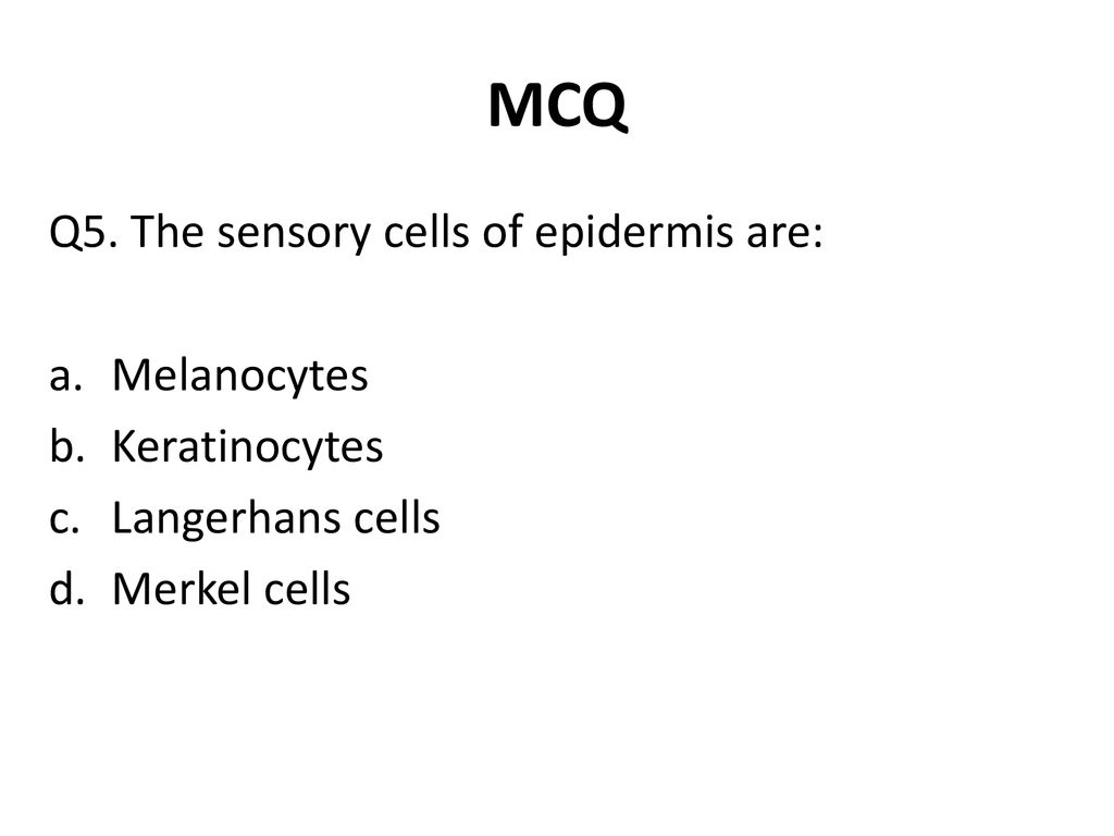 MCQ Q5. The sensory cells of epidermis are: Melanocytes Keratinocytes
