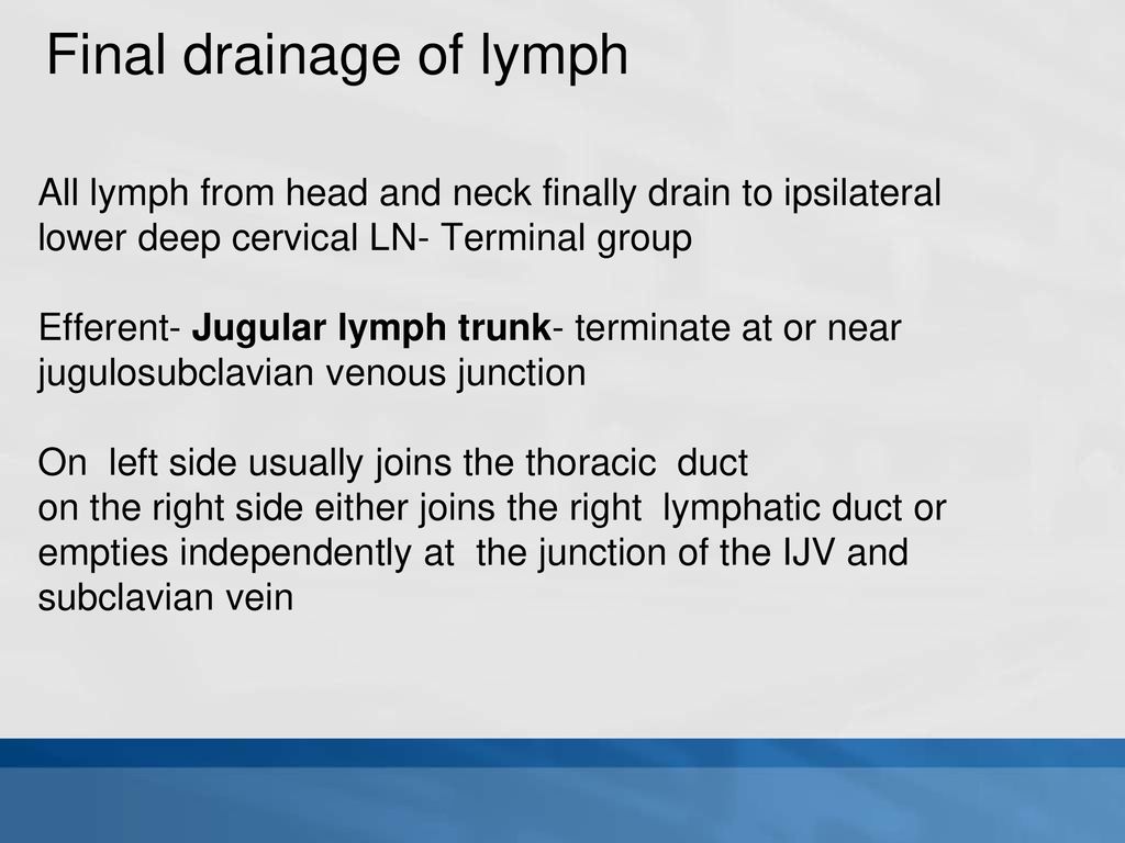 ANATOMY OF LYMPH NODES OF HEAD AND NECK - ppt download