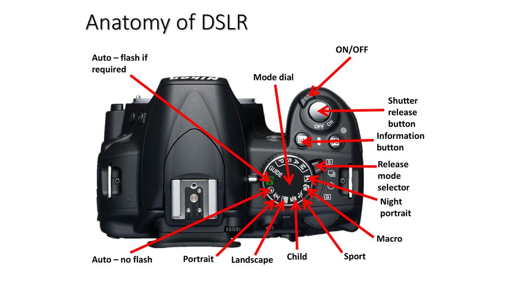 Camera Labeling Answer Key. - ppt download