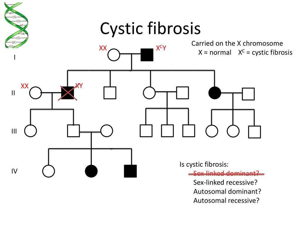 Cystic Fibrosis Pedigree