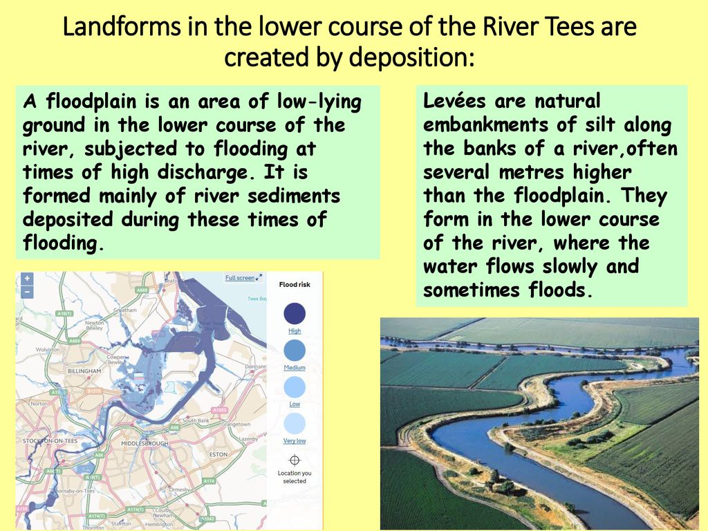 river tees lower course