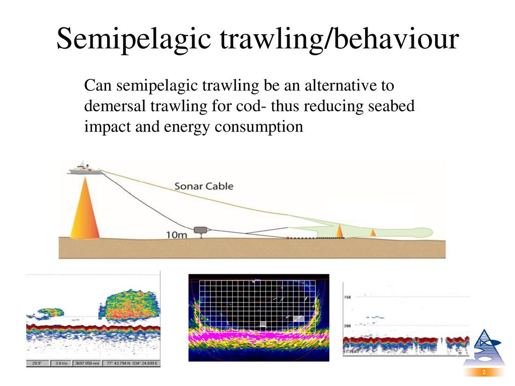 Low impact trawling Semipelagic trawling/behaviour(PhD) Ground