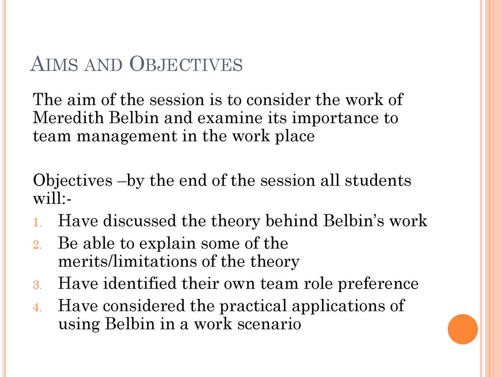 belbin team role theory limitations