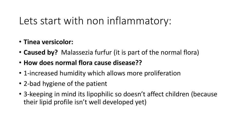 Fungal infections By: amin alajlouni. - ppt download
