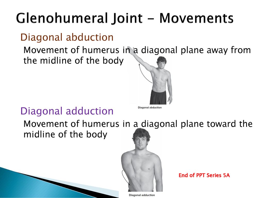 The Shoulder Joint PPT Series 5A - ppt download