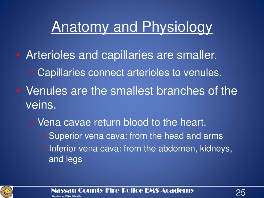 General Pharmacology Advance Preparation - ppt download