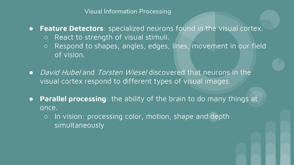 Sensation and Perception - ppt download