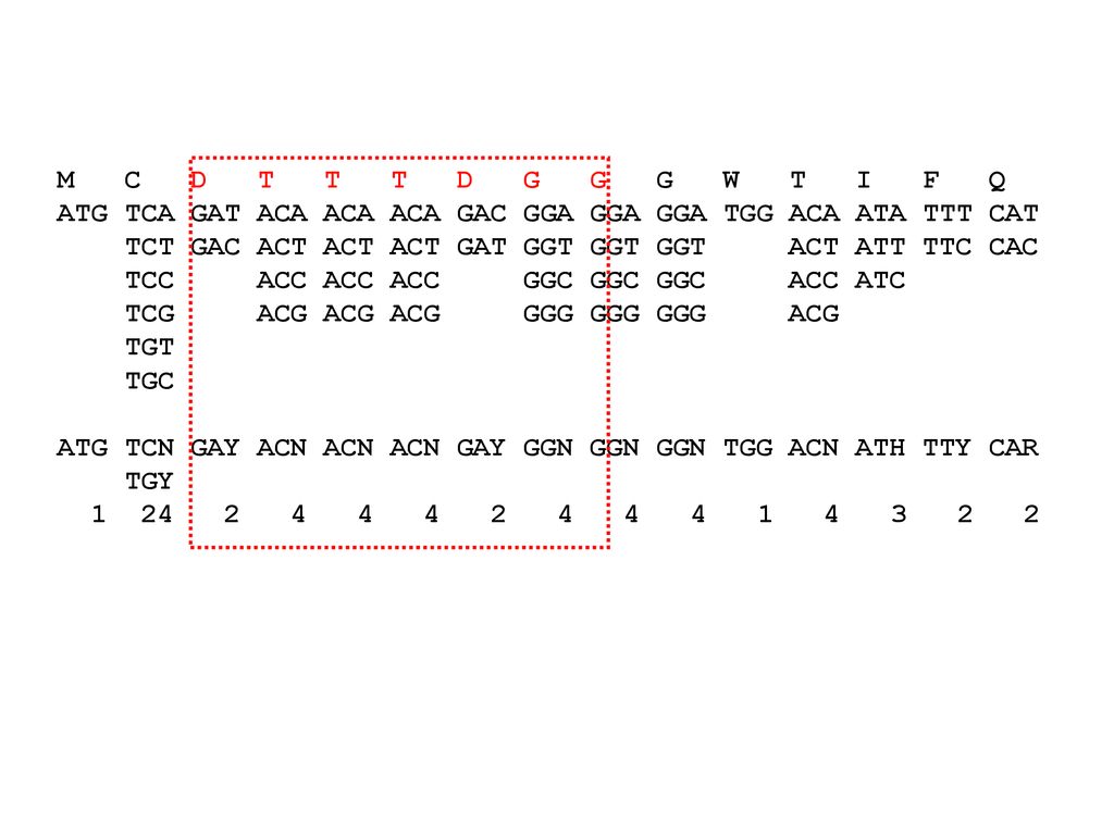 Today House Keeping Primer Design Ppt Direct Sequencing Results Ppt Download