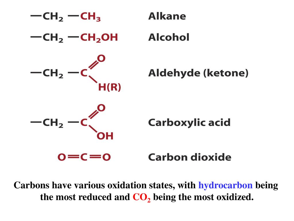 Chapter 13 Bioenergetics And Biochemical Reaction Types - Ppt Download