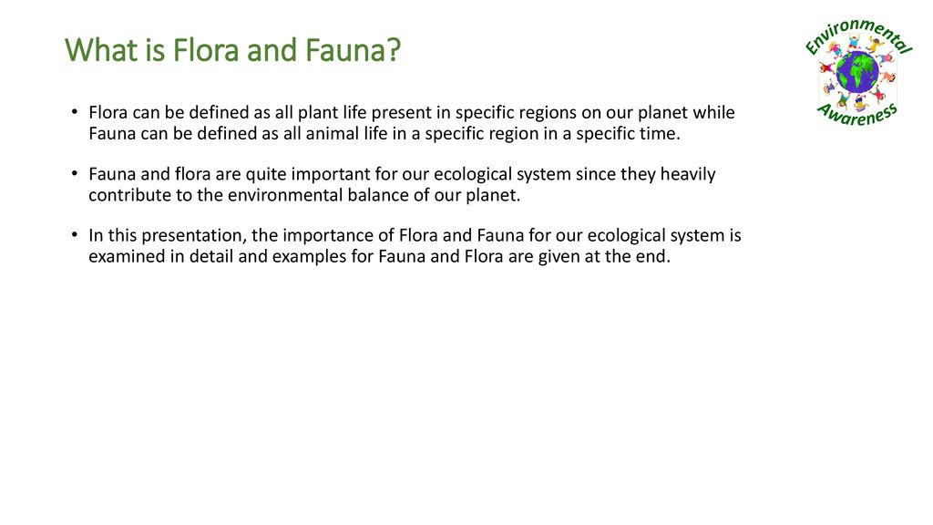 Flora and Fauna. - ppt download