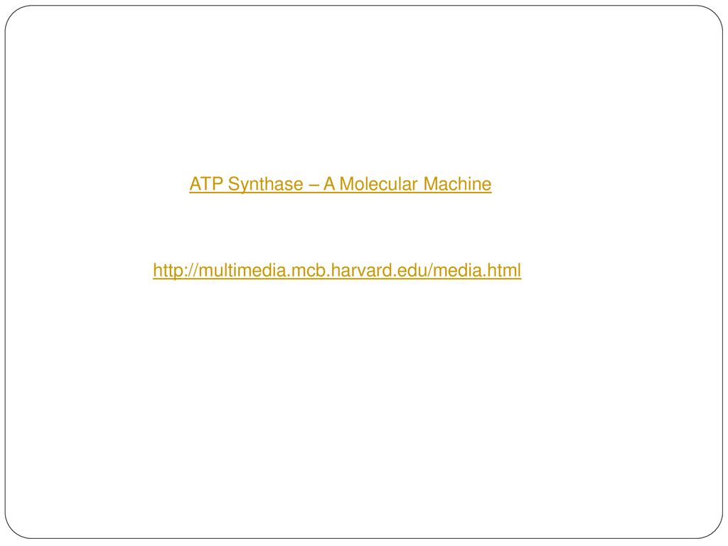ATP Synthase – A Molecular Machine