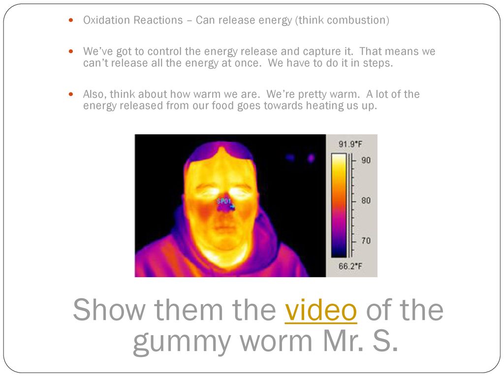Show them the video of the gummy worm Mr. S.