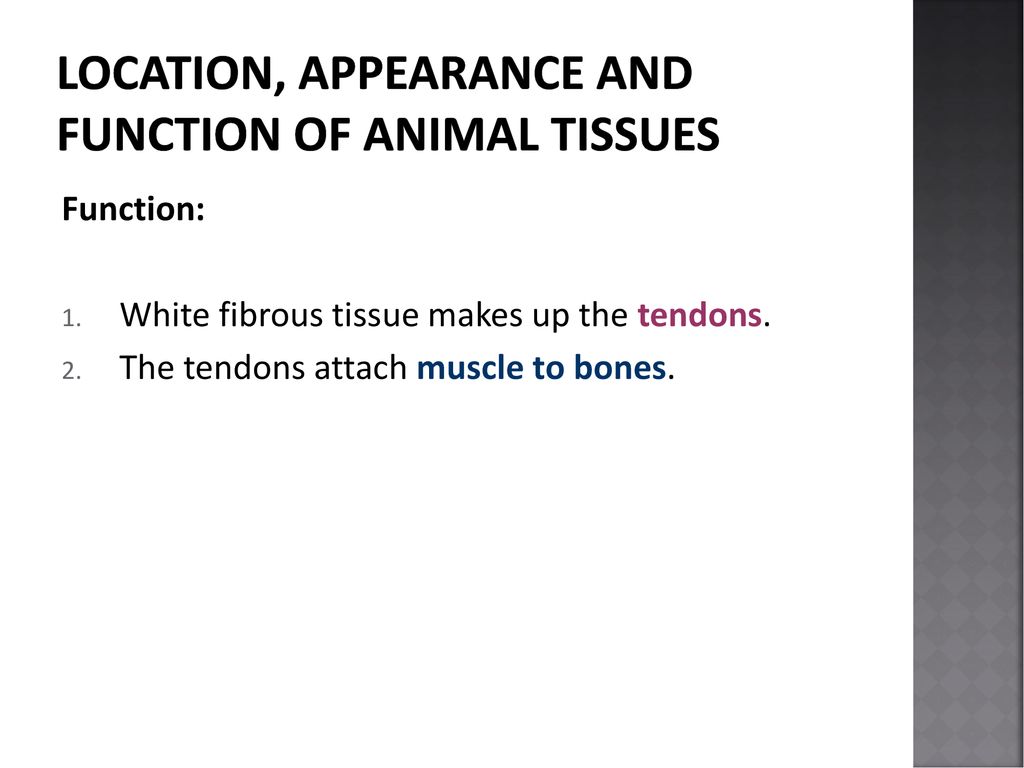 KNOWLEDGE AREA: Life at Molecular, Cellular and Tissue Level - ppt download KNOWLEDGE AREA: Life at Molecular, Cellular and Tissue Level - ppt download