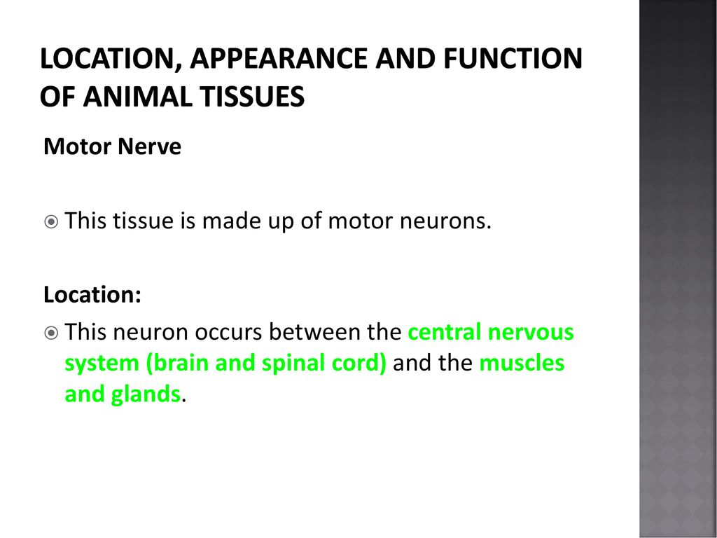 KNOWLEDGE AREA: Life at Molecular, Cellular and Tissue Level - ppt download KNOWLEDGE AREA: Life at Molecular, Cellular and Tissue Level - ppt download