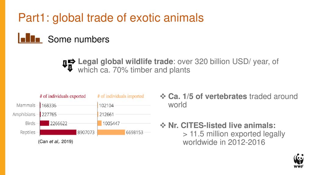 The global trade of exotic animals - ppt download