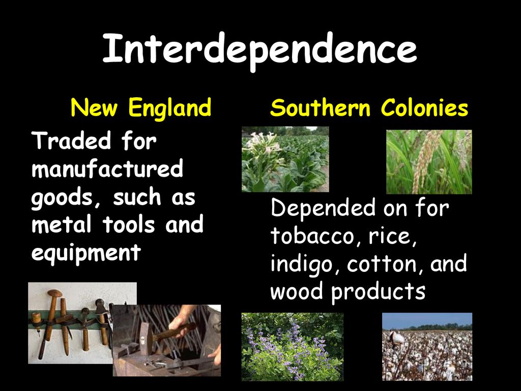 compare and contrast the three colonial regions