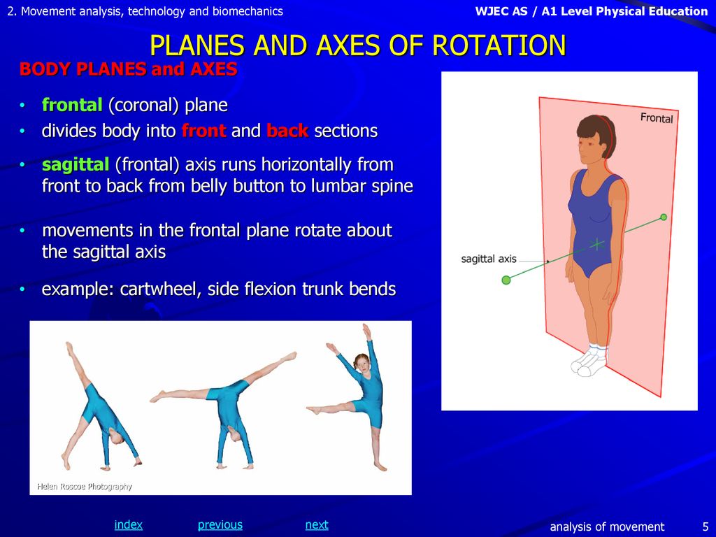 INDEX 3 PLANES AND AXES OF ROTATION 8 MOVEMENT PATTERNS - ppt download