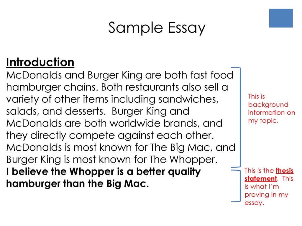 essay about mcdonalds food