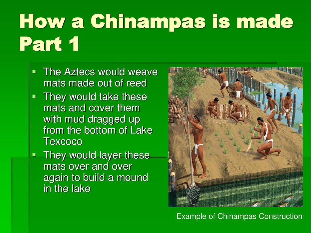 chinampas aztecs
