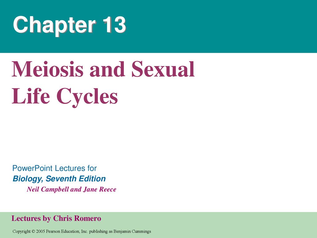 Meiosis And Sexual Life Cycles Ppt Download 1668