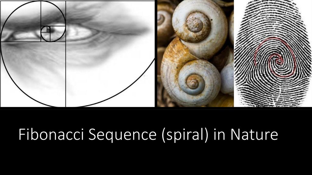 Fibonacci Series, Pascal’s Triangle, and The Golden Ratio - ppt download