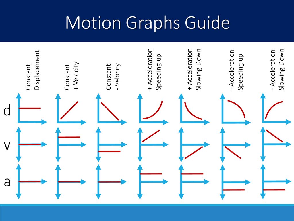 Honors Physics: Graphing Motion