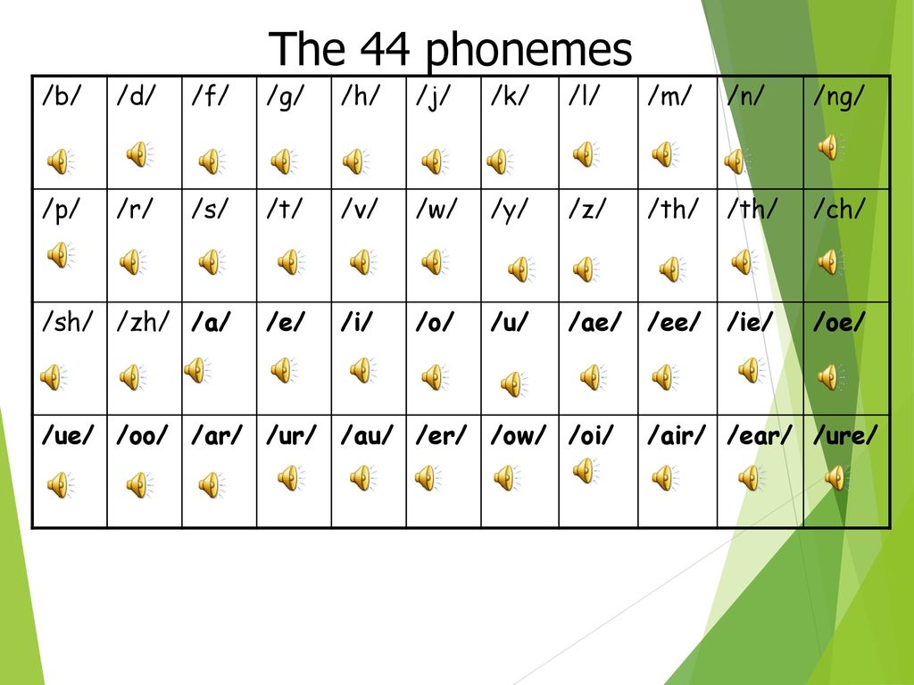 Phonics Meeting For Parents Ppt Download