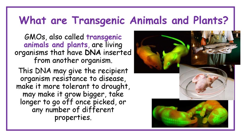 national-5-biology-unit-1-cell-biology-ppt-download