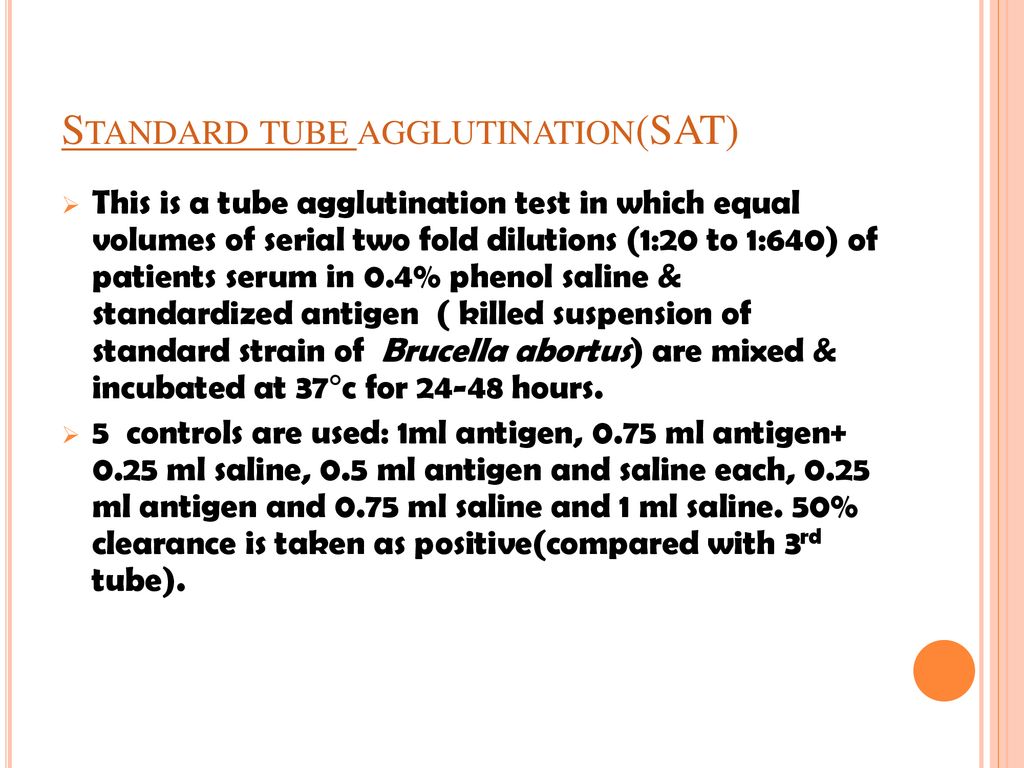 Standard+tube+agglutination%28SAT%29