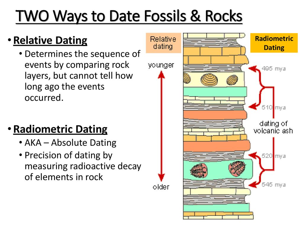 Relative Age Dating Fossils