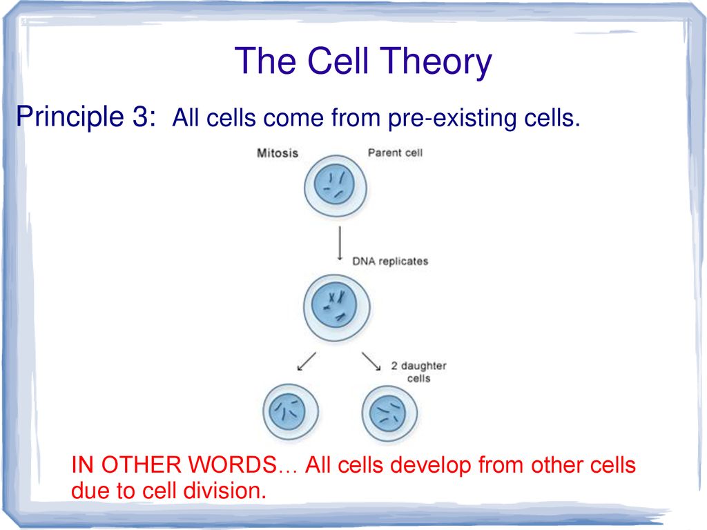 Cell theory ppt download