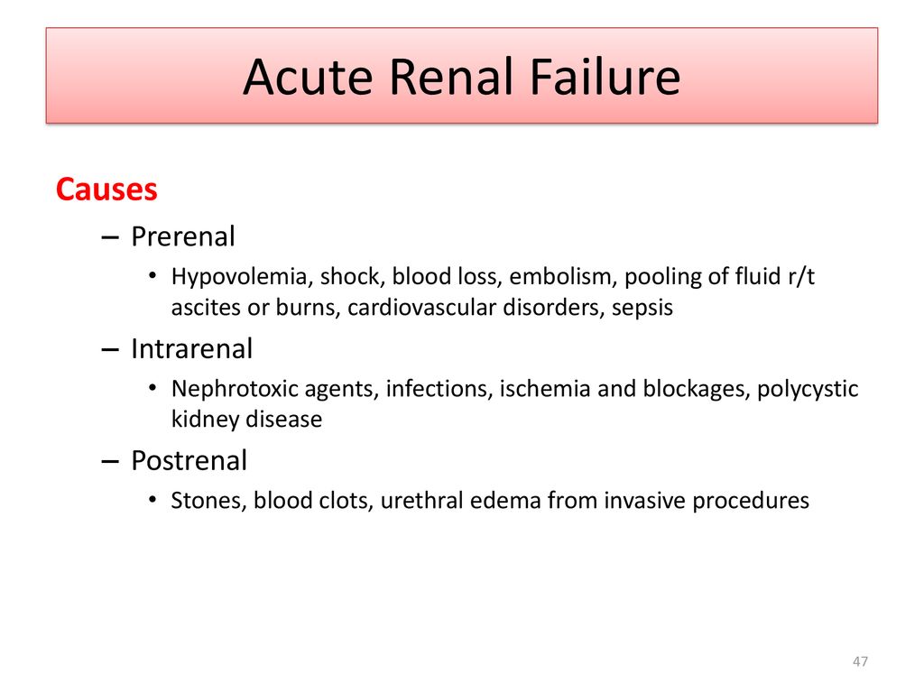 Alteration in Genitourinary function - ppt download