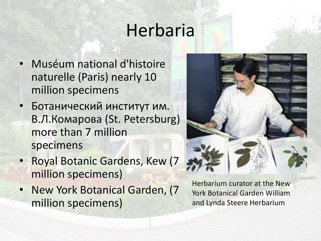 Natural History Collections Ppt Download