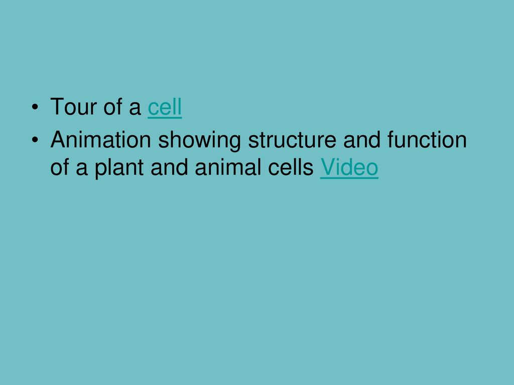 Cell Structure & Function - ppt download