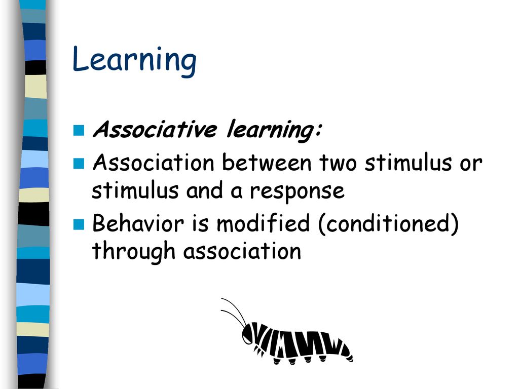 Animal Behavior Chapter ppt download