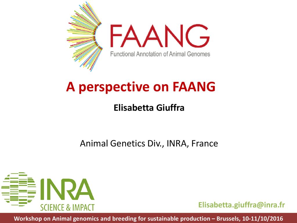 Animal Genetics Div., INRA, France