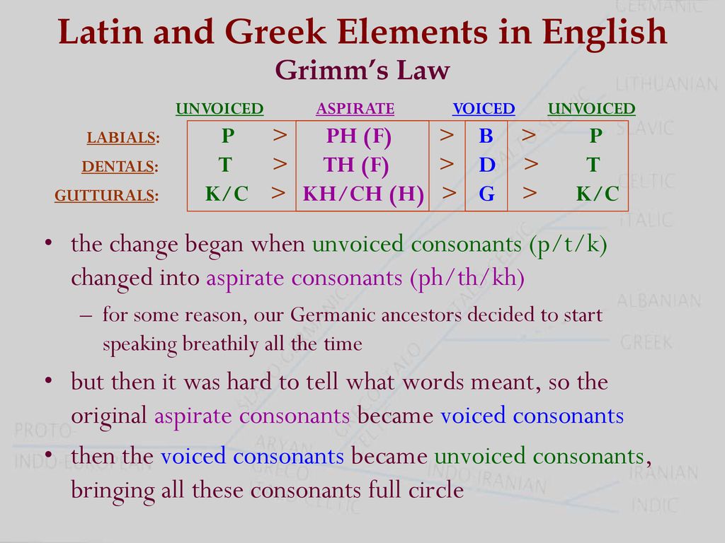 Latin And Greek Elements In English Grimm S Law Ppt Download