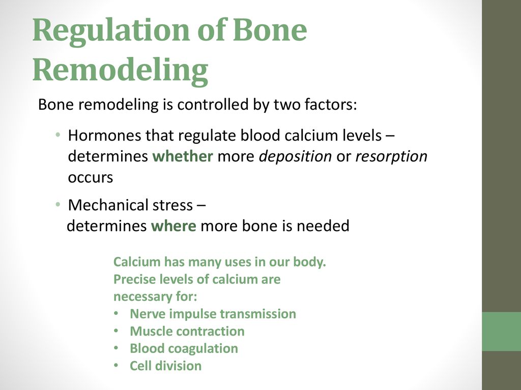 Development, growth, and remodeling of bones Biology Diagrams