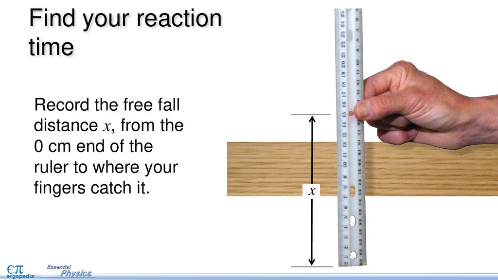 Reaction Time Ruler Set, for Measuring Acceleration of Falling Object