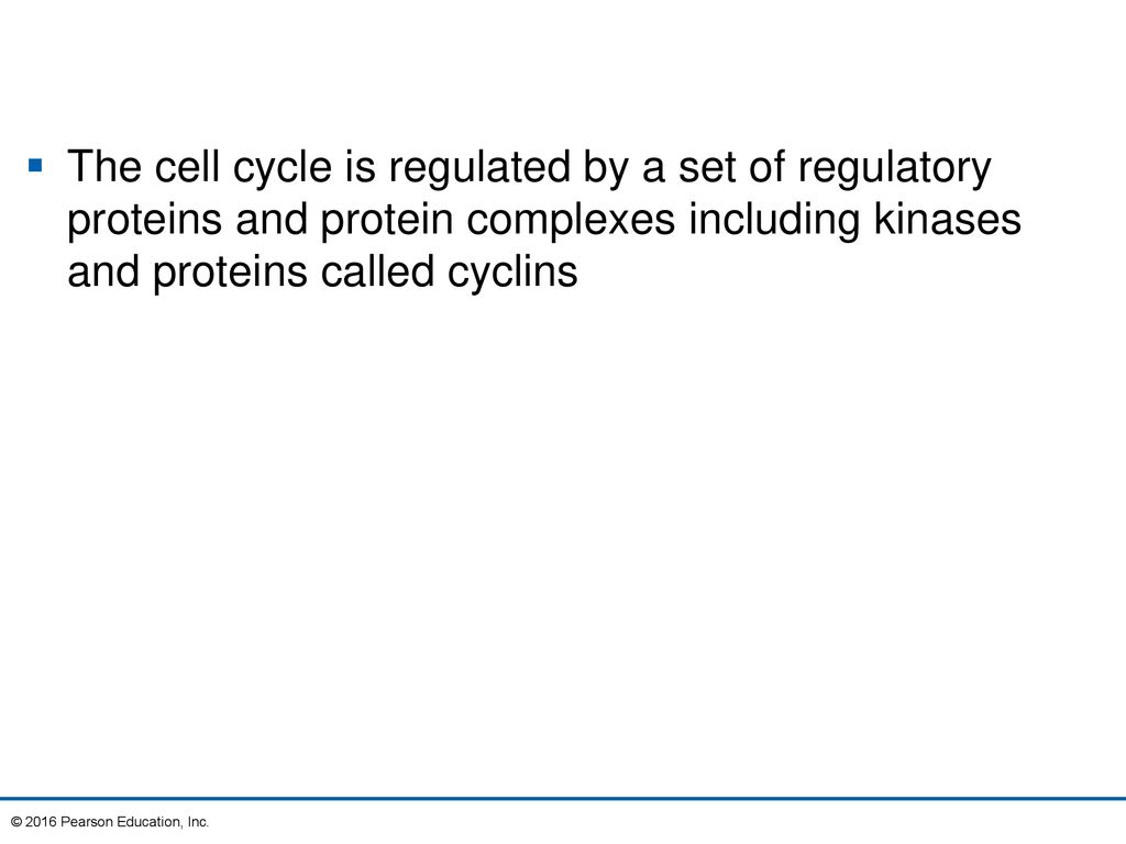 9 The Cell Cycle. Biology Diagrams