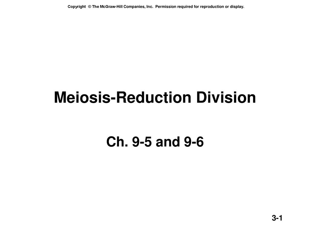 Reduction Division Biology Diagrams