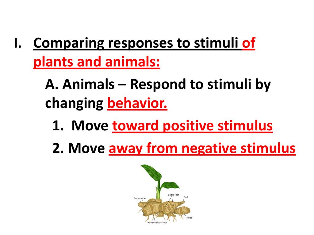 CHAPTER 39: PLANT RESPONSE - ppt download
