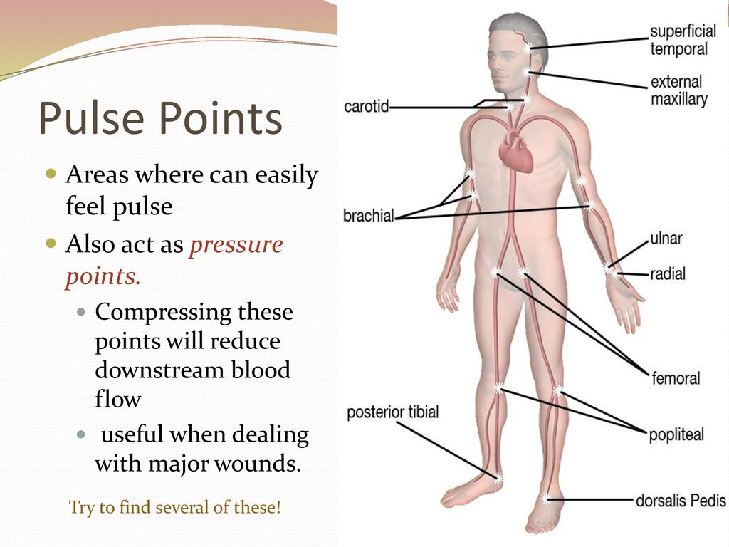 blood-pressure-and-cardiovascular-disorders-ppt-download