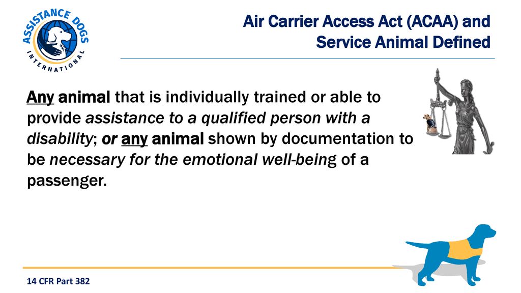 Airline Accessibility and Assistance Dogs - ppt download