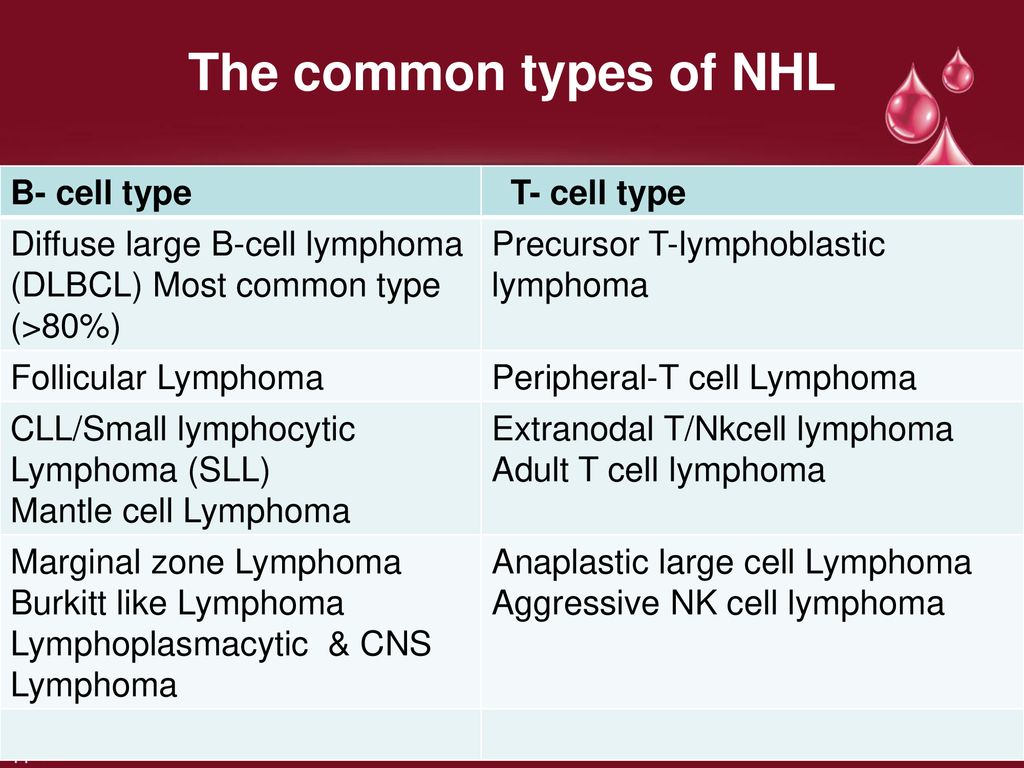 types of nhl